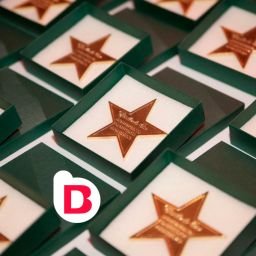 Brandesign agencia creativa obtiene el premio estrella de oro a la excelencia profesional