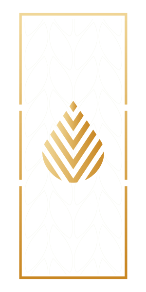 Diseño de logotipo para aceite de oliva