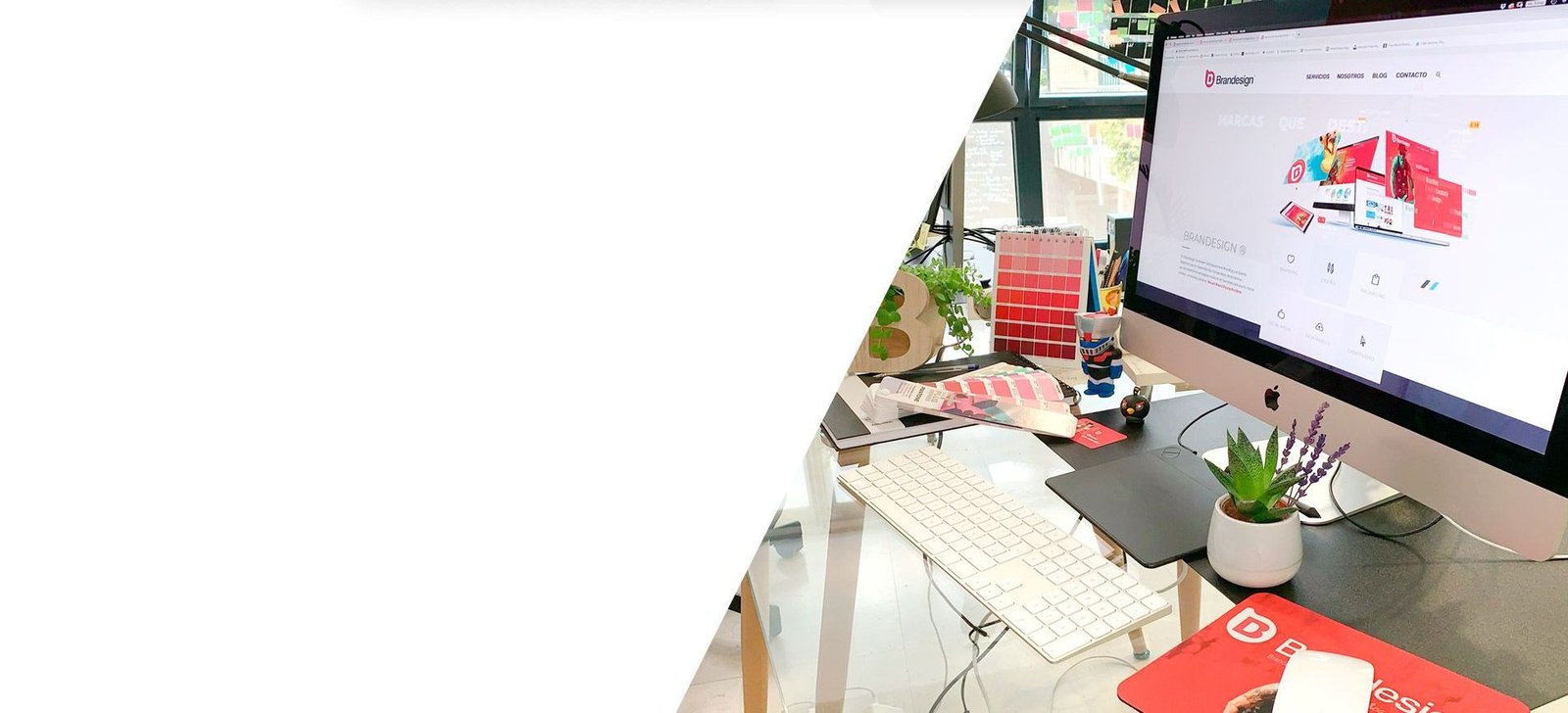 Agencia Creativa Brandesign madrid branding design