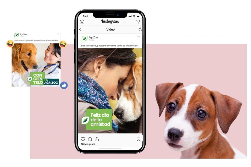 BRANDED-content-social-media-contenidos-creativos-redes-sociales-009 Producción de contenidos creativos para redes sociales para tu marca