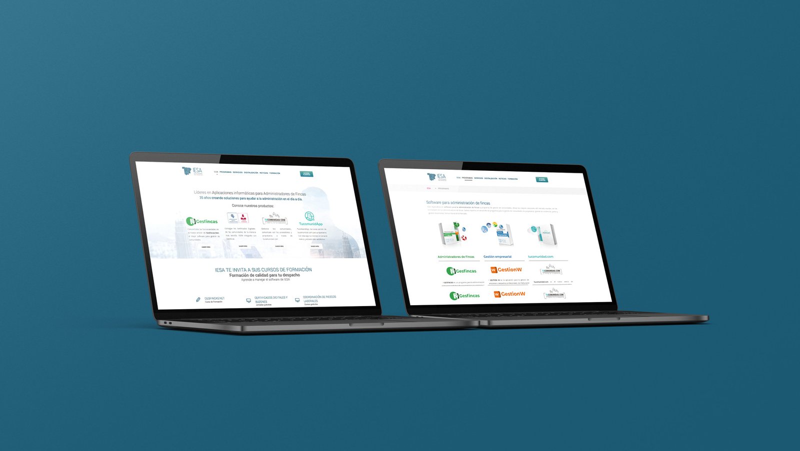 estudio de diseño web especializado en diseño web y sitios web