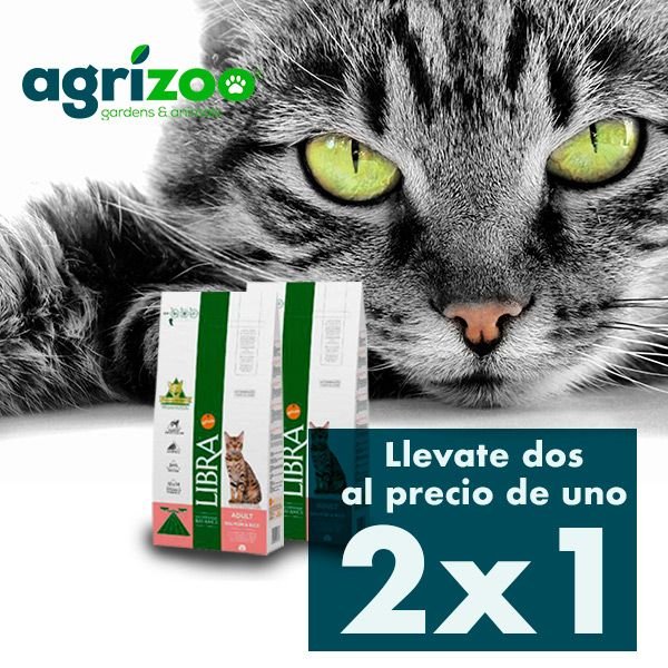 banner600x600-gato Banner creatividad online gif animado madrid