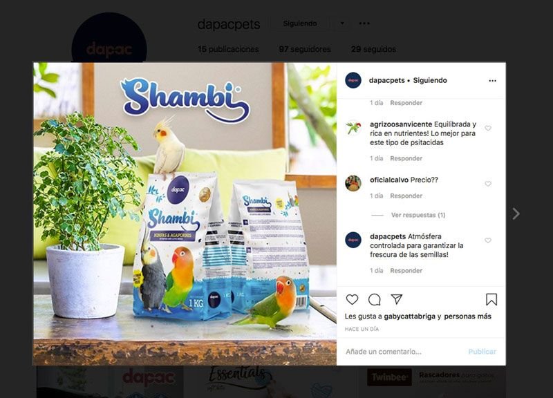 produccion de creatividades y branded content en instagram para tu marca