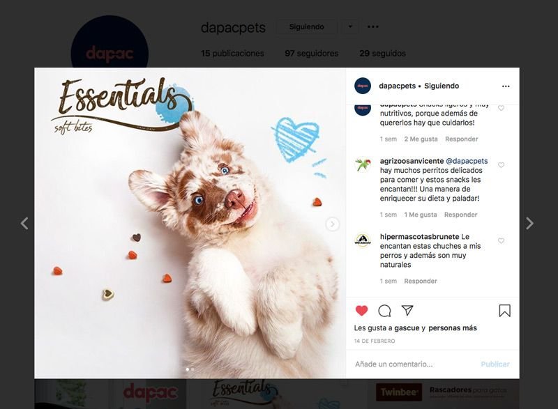 produccion de creatividades y branded content en instagram para tu marca