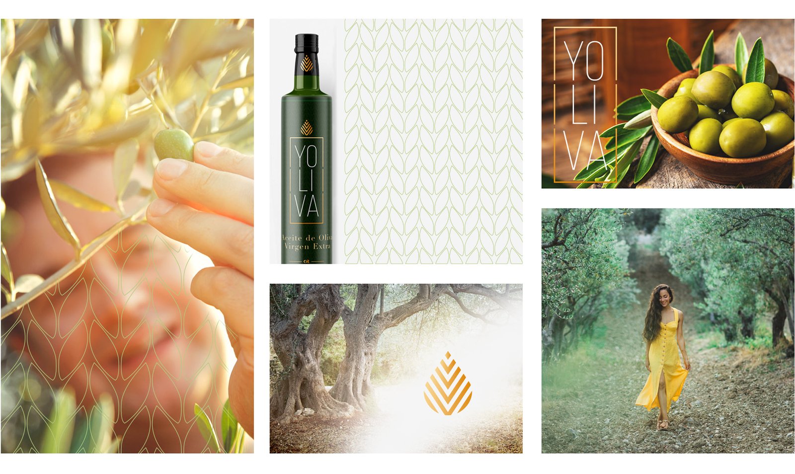 etiqueta de aceite de oliva virgen extra agencia de diseño gráfico