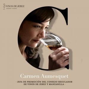 Biografias instagram stories