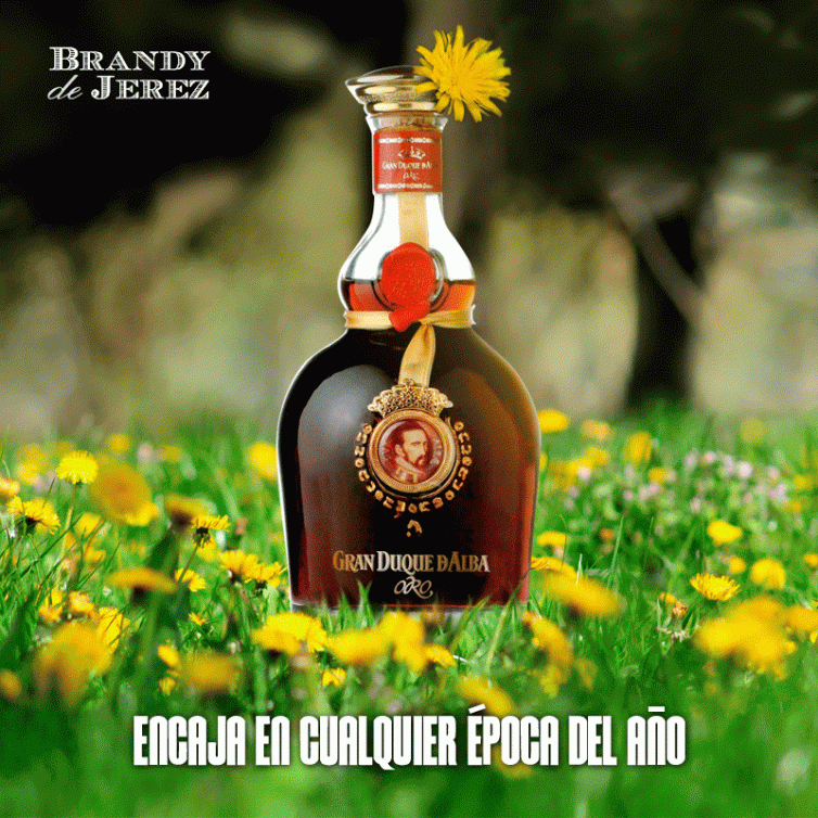 diseño de publicaciones en el feed de instagram