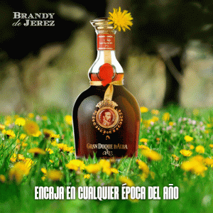 diseño de publicaciones en el feed de instagram