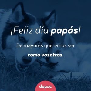 diseño de publicaciones en instagram