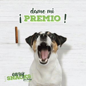 Animaciones en instagram para fomentar la interactividad de marca en instagram