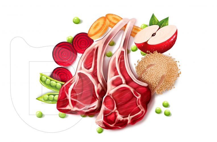 Ilustraciones en alta resolución para imagen de producto y packaging