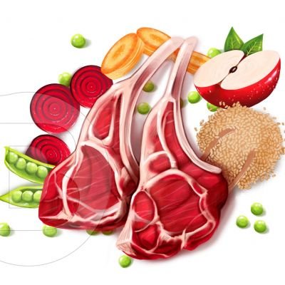 Ilustraciones en alta resolución para imagen de producto y packaging