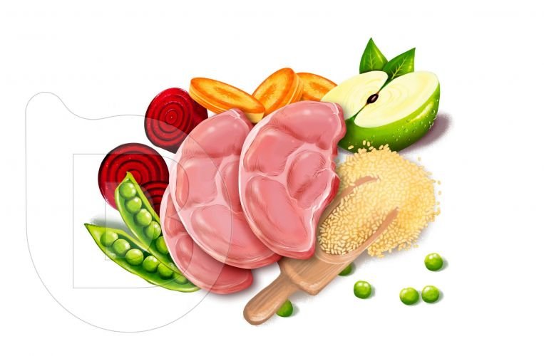 Ilustraciones en alta resolución para imagen de producto y packaging