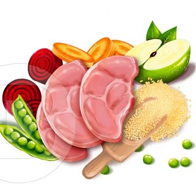 Ilustraciones en alta resolución para imagen de producto y packaging