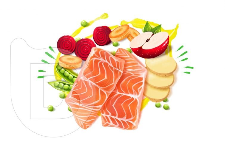 Ilustraciones en alta resolución para imagen de producto bodegón