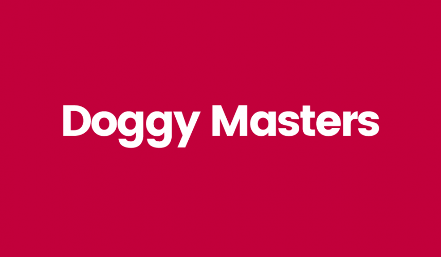 Doggy Masters naming para productos