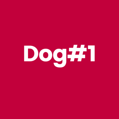 Dog1 nombre escogido para marca comida para perros