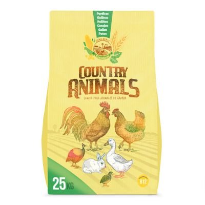 Ilustraciones y Diseño gráfico para productos de consumo agencia packaging madrid