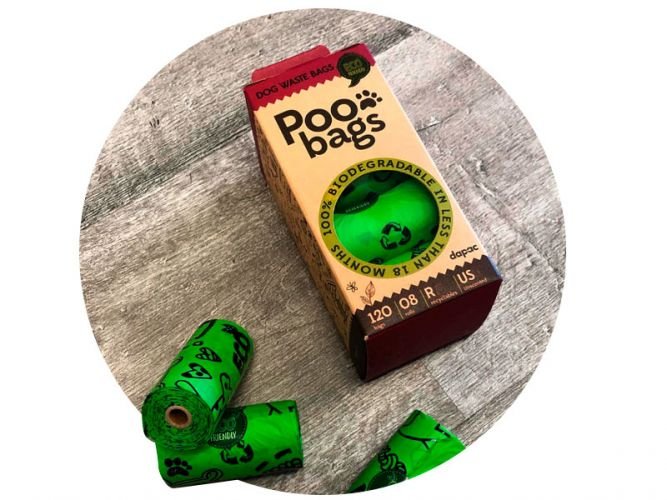 Diseño de packaging con material ecofriendly tendencias de marketing