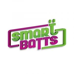 Diseño de logotipo para producto y diseño grafico de etiqueta baterías inteligentes