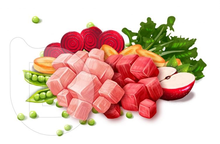 ilustraciones personalizadas para packaging y empaque de producto ilustrador madrid