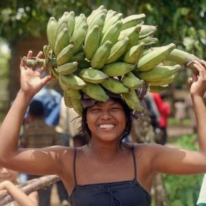 auditoria de packaign caso de éxito estudio de empaque