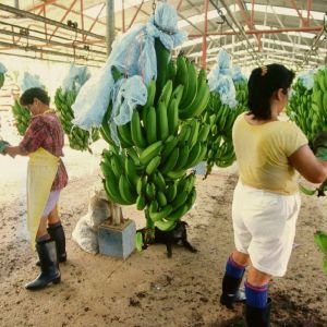 briefing de branding para el proyecto de identidad de marca