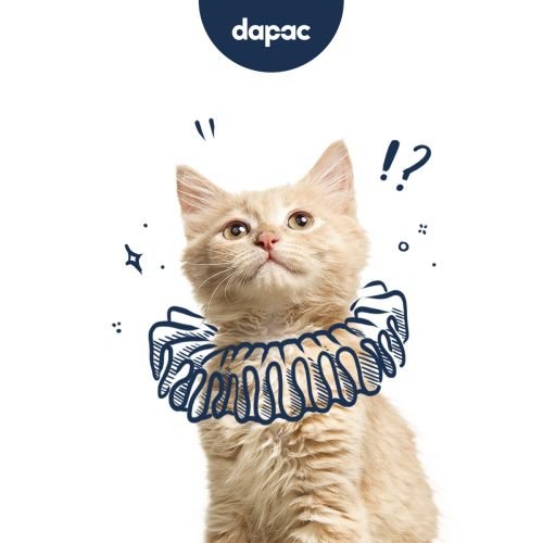 branded content pet food Brandesign agencia creativa produccion de contenidos de marca