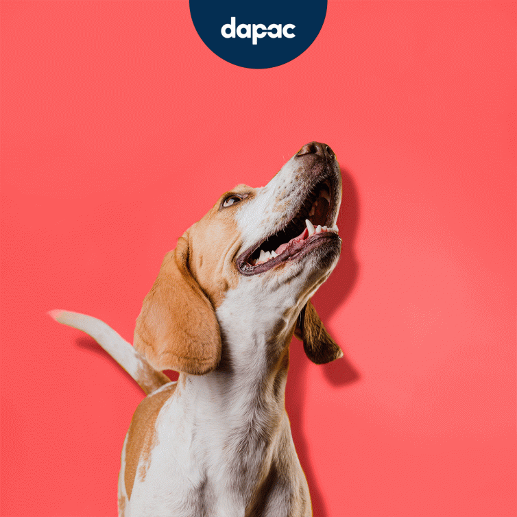 animación de motion graphics para contenidos de marca