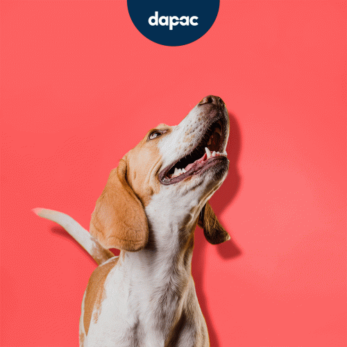 animación de motion graphics para contenidos de marca