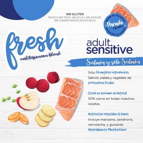 Creatividad para instagram promotion comida para perros pet food