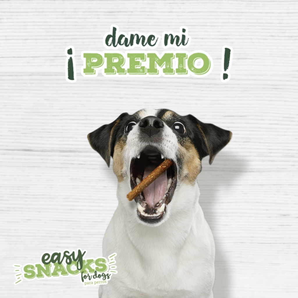 social media creativity for pet food brand branded content premio juegos interactivos para redes sociales creados para interactuar con los usuarios de marca en redes