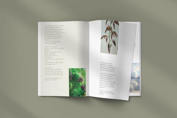 brandesign estudio de diseño grafico en madrid