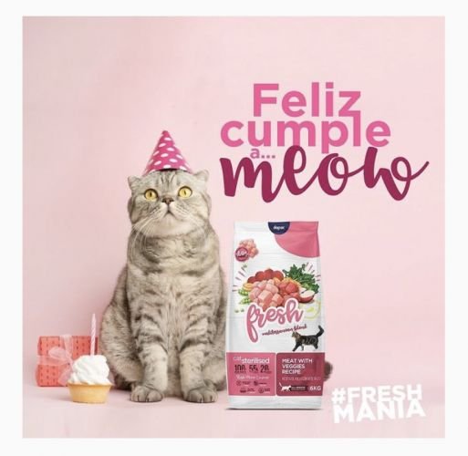 sorteo de cumpleaños publicaciones instagram gamificadas