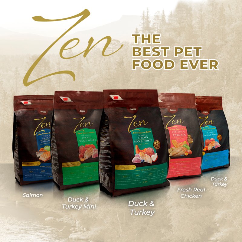 creatividades para publicaciones en redes sociales