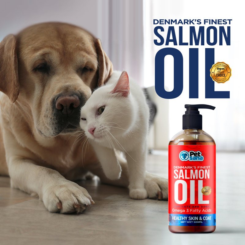 brandesign portafolio de etiquetas y packagings