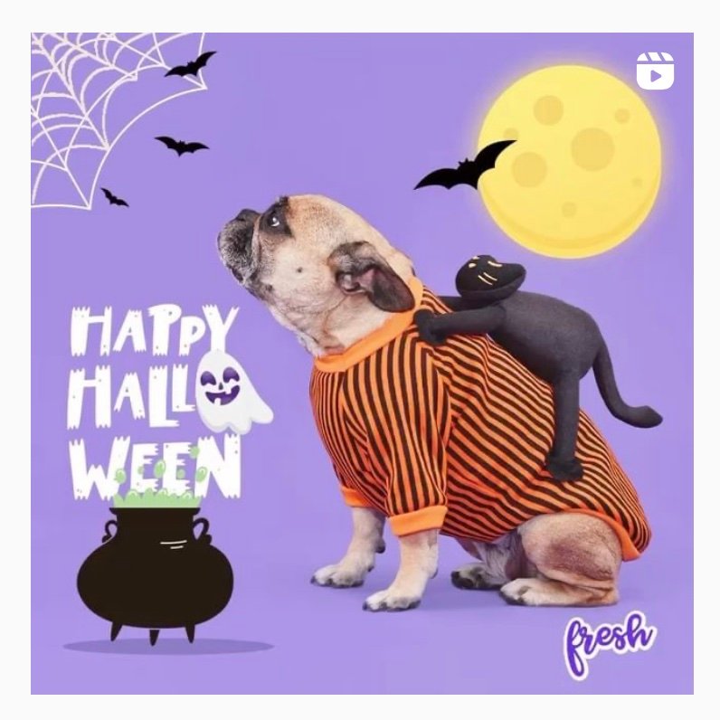 sorteo de cumpleaños publicaciones instagram gamificadas