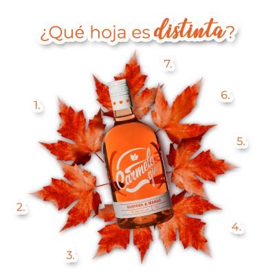 Participa y responde en nuestro canal sorteo premio incentivo