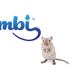 diseño de logotipo Shambi marca alimentaciones mascotas