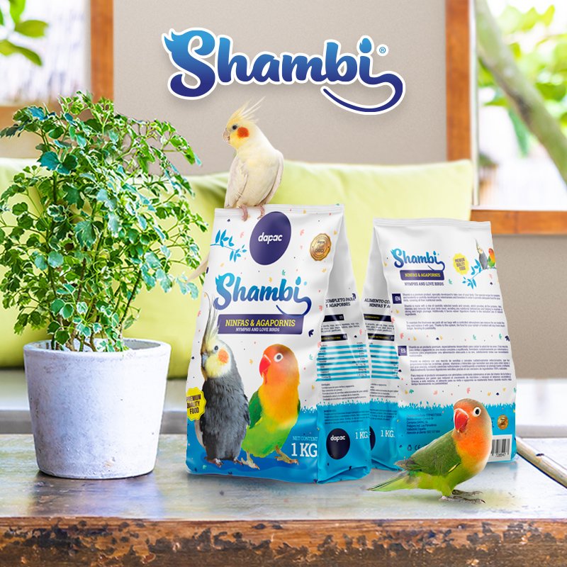 creatividad para redes sociales