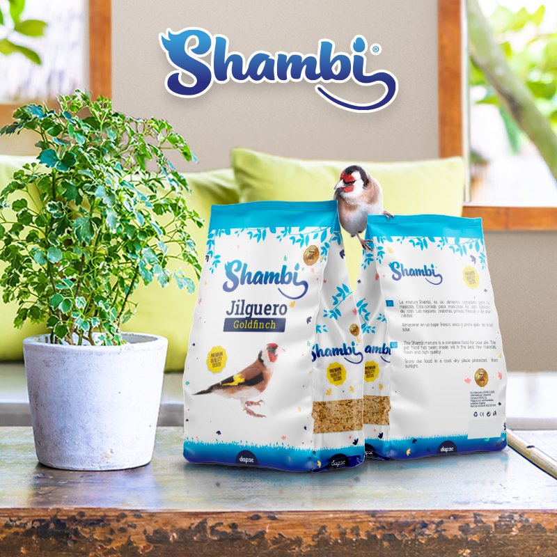 petfood pienso para mascotas diseño grafico logotipo y empaque