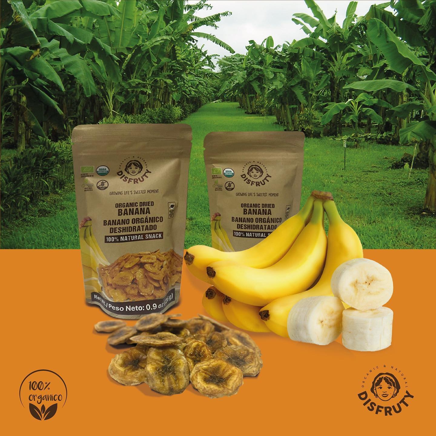 disfruty compromiso social disfruty compromiso social