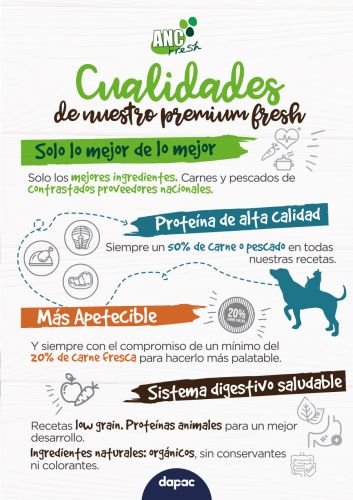 estudio de diseño gráfico en madrid freelance diseñador grafico