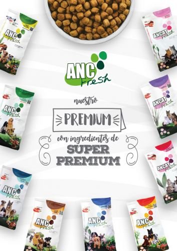 estudio de diseño gráfico en madrid freelance diseñador grafico