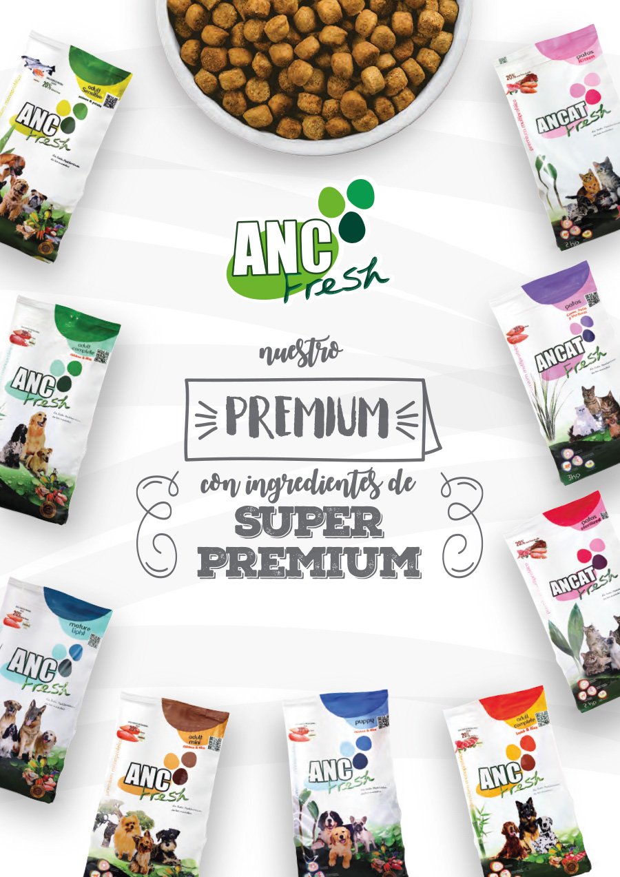 estudio de diseño gráfico en madrid freelance diseñador grafico