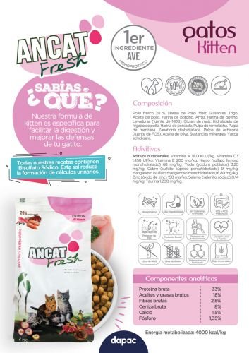 estudio de diseño gráfico en madrid freelance diseñador grafico