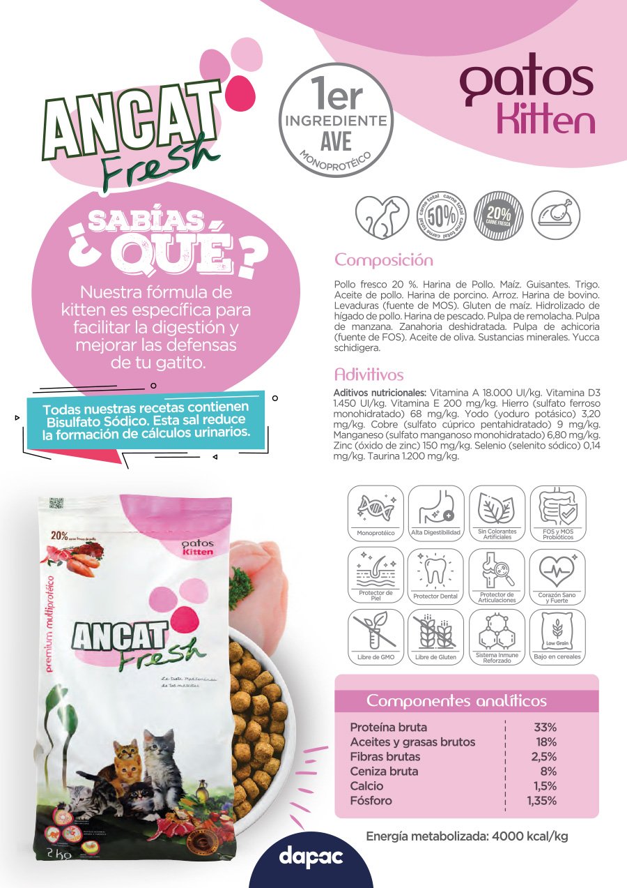 estudio de diseño gráfico en madrid freelance diseñador grafico