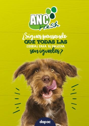 estudio de diseño gráfico en madrid freelance diseñador grafico