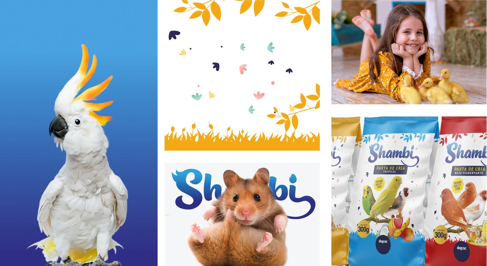 portafolio de diseño logotipos y etiquetas