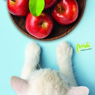 Publicación instagram lanzamiento de producto